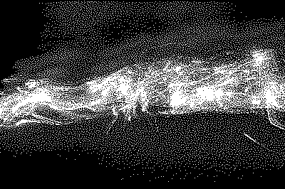 A black and white image of a firework